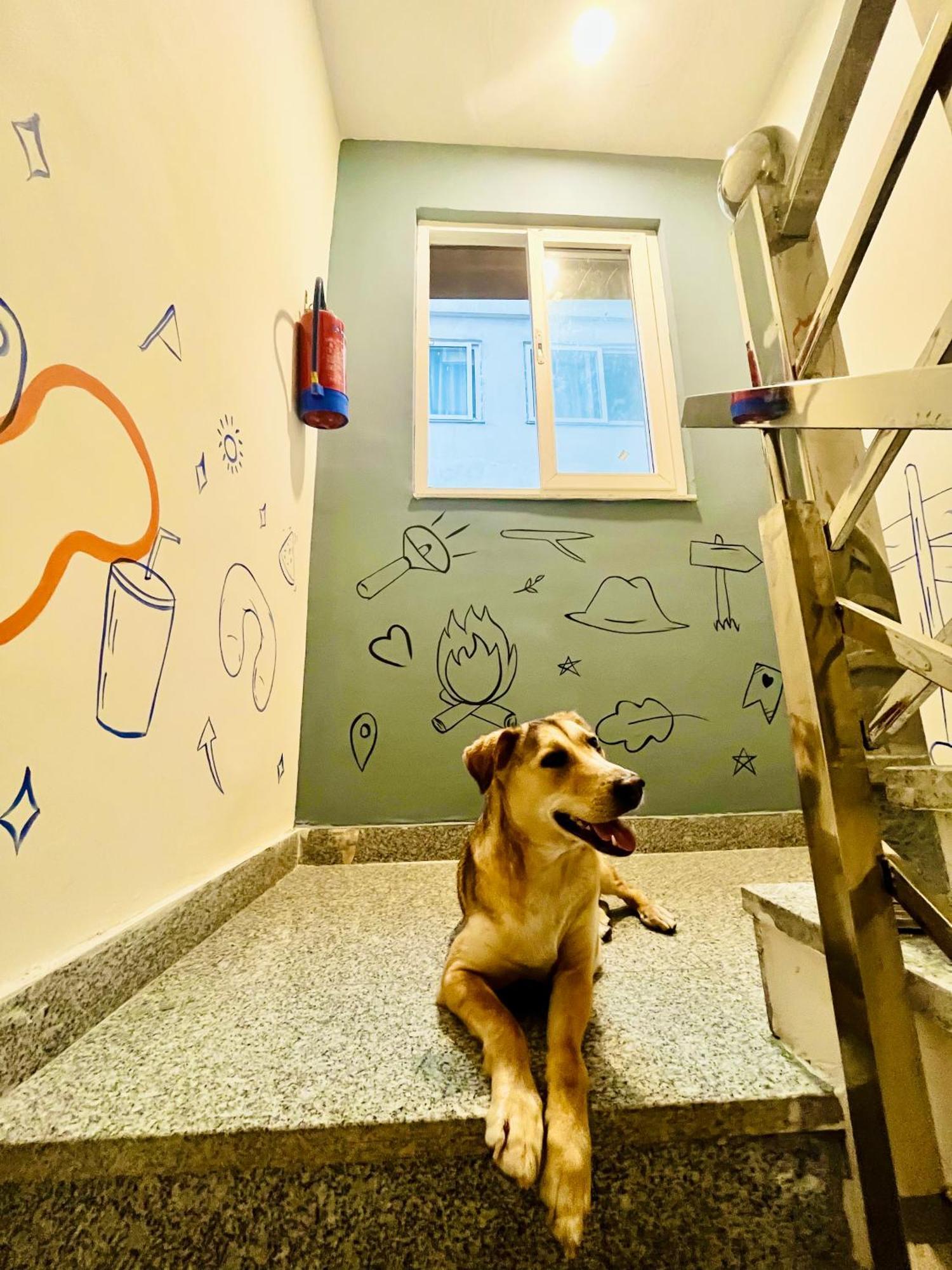 Bonfire Hostels Ришикеш Экстерьер фото